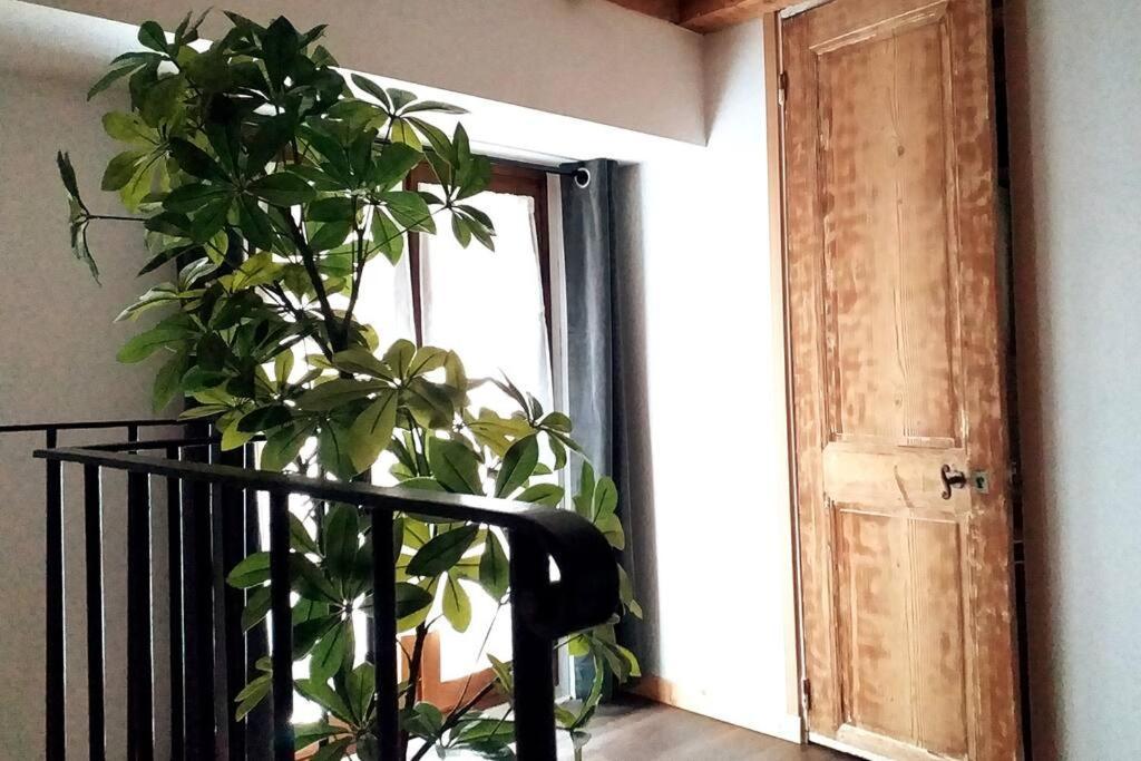 Le Paisible - Gare - Duplex - Garage Prive - Netflix Leilighet Grenoble Eksteriør bilde