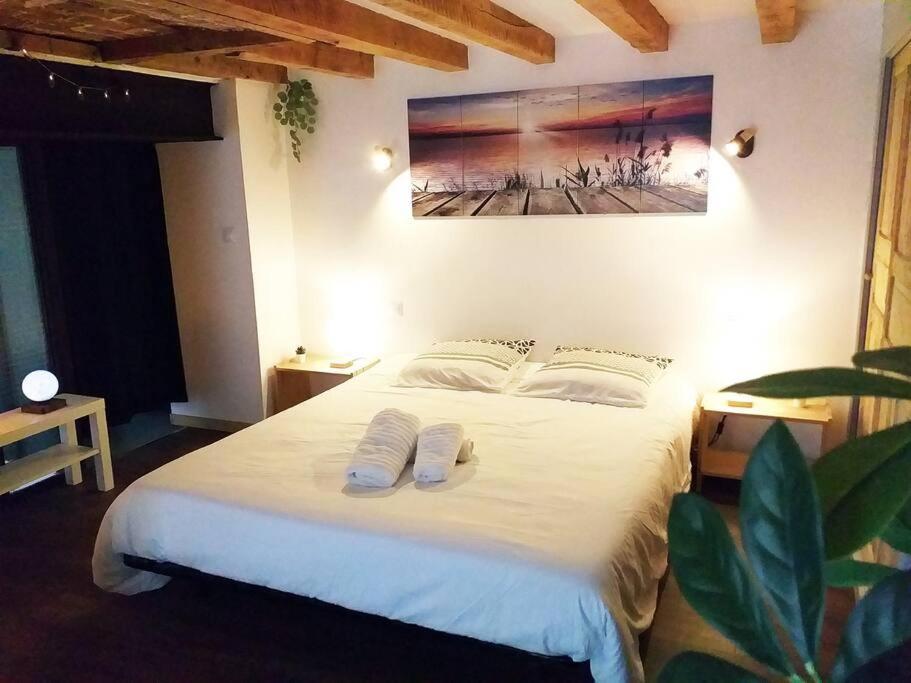 Le Paisible - Gare - Duplex - Garage Prive - Netflix Leilighet Grenoble Eksteriør bilde
